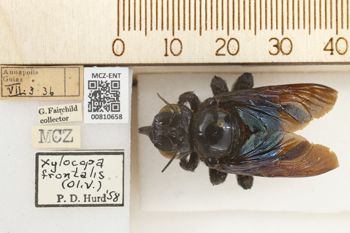 Media type: image;   Entomology 810658 Aspect: labels